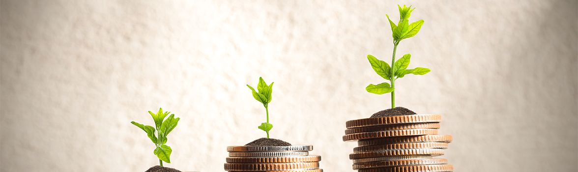 Trzy stosy monet na której rosną roślinki.