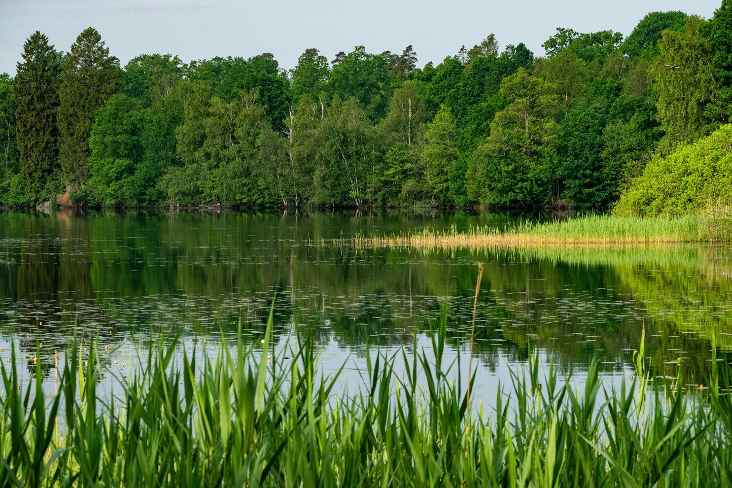 Jak pozyskać Fundusze Europejskie na rozwój firmy? PARP zaprasza na spotkanie w Olsztynie